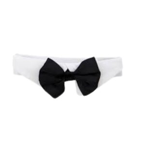 BOW TIE COLLAR