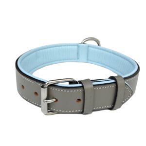 TAILFIT – CLASSIC COLLAR